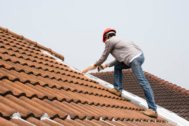 Best Rubber Roofing (EPDM, TPO)  in Blaine, MN